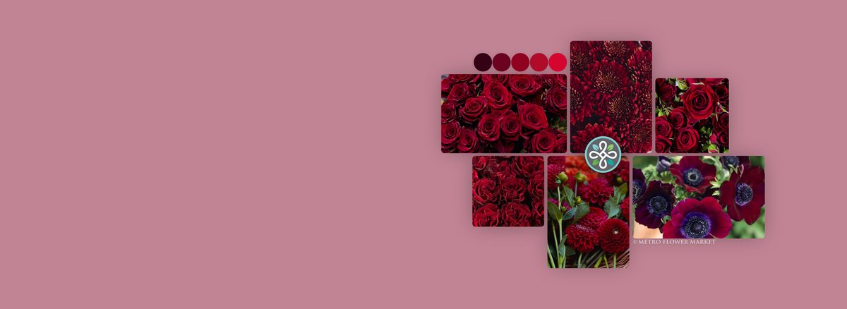 A collage featuring different types of flowers in shades of burgundy and deep red. It includes a color swatch key in similar tones, and a Metro Flower Market logo superimposed over it.