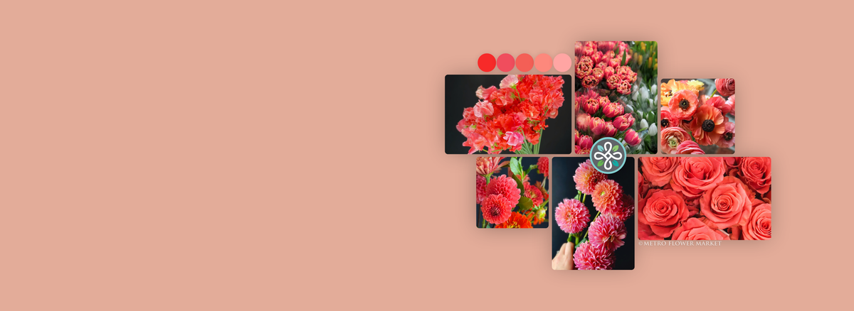 A collage of floral photography showing vibrant coral and orange colored flowers, including dahlias, roses, and ranunculus, arranged on a light grayish peach background with a small Metro Flower Market logo in the center