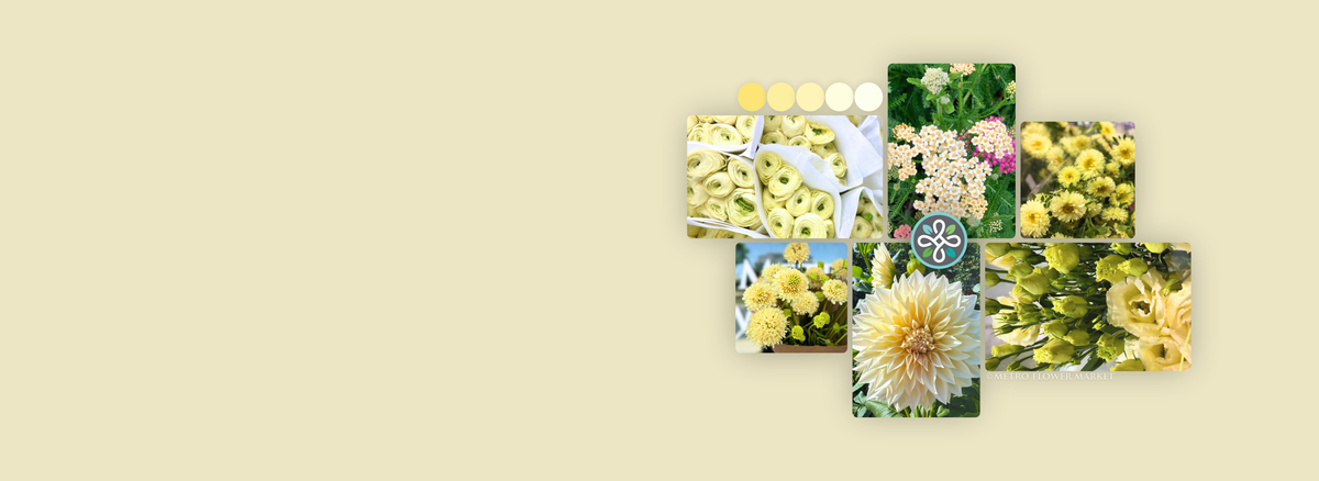 A collage of floral photography showing cream colored flowers, including ranunculus, dahlias, and yarrow, arranged on a light grayish beige background with a small Metro Flower Market logo in the center
