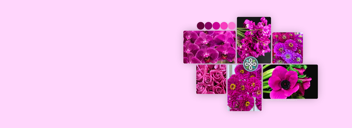 A collage featuring different types of flowers in shades of fuchsia, magenta, and deep pink. It includes a color swatch key in similar tones, and a Metro Flower Market logo superimposed over it.