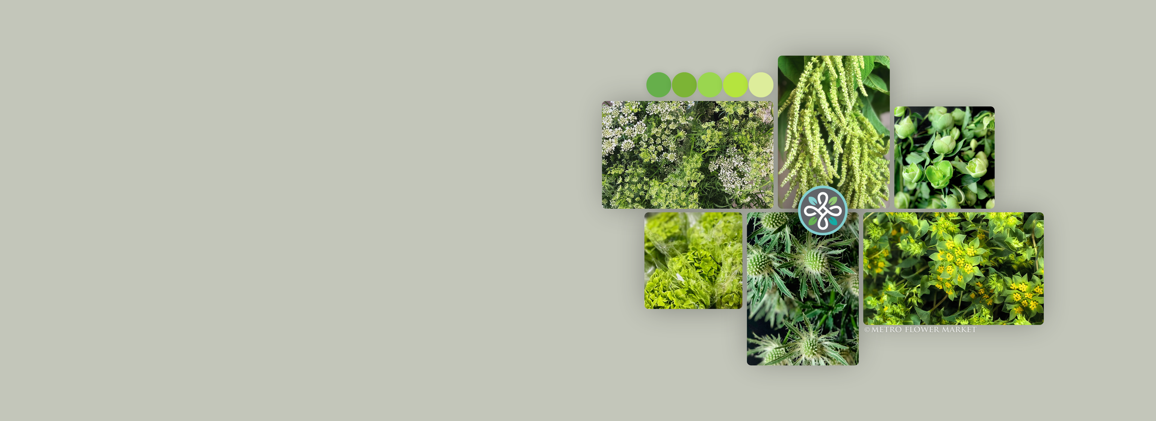 Collage of various green flowers on a light gray-green background.