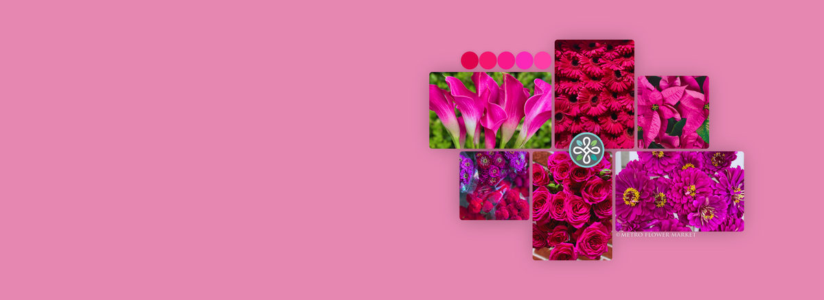 A collage featuring different types of flowers in shades of magenta, hot pink, and deep fuchsia. It includes a color swatch key in similar tones, and a Metro Flower Market logo superimposed over it.