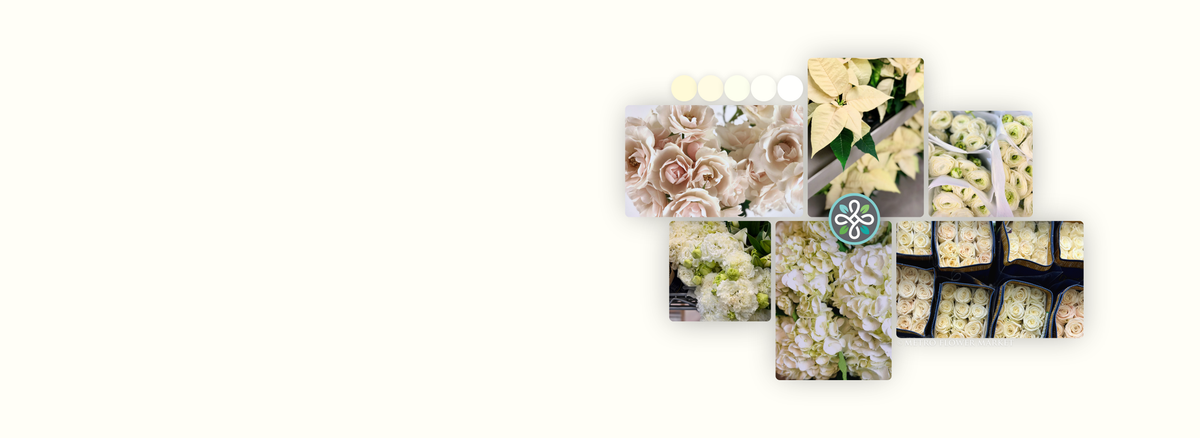A collage featuring different types of flowers and plants in shades of antique white, ivory and deep cream. It includes a color swatch key in similar tones, and a Metro Flower Market logo superimposed over it.