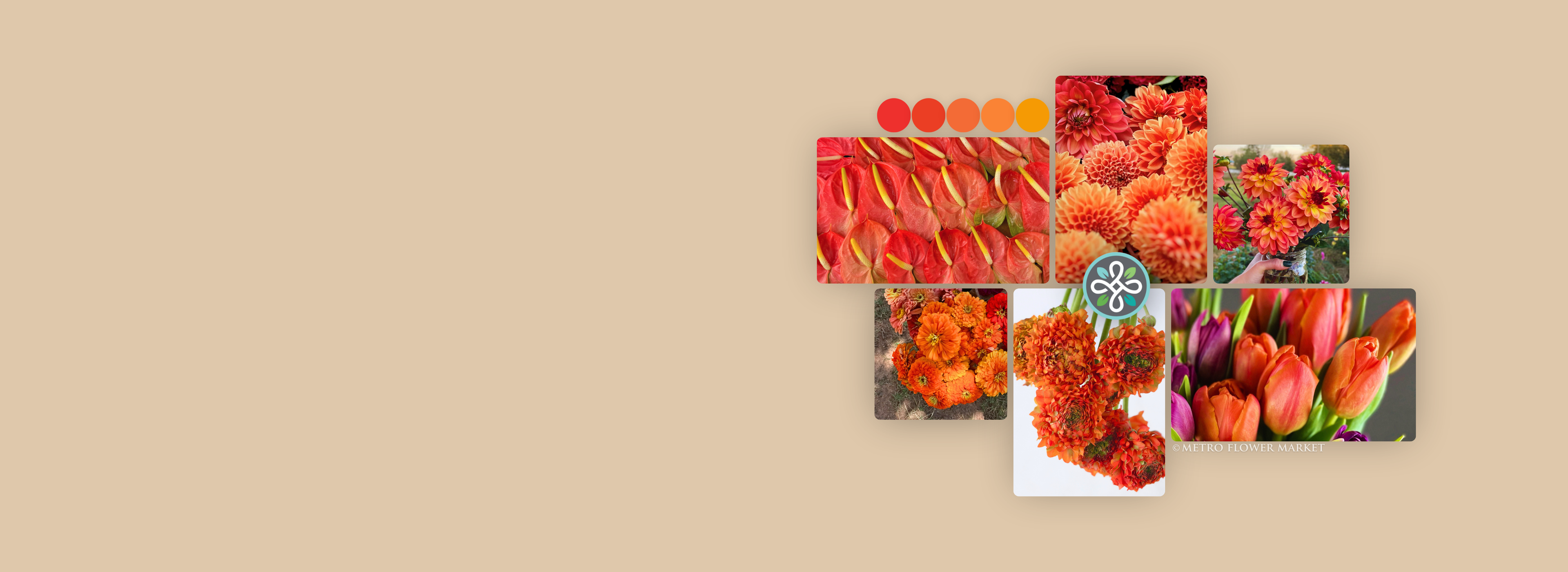 Collage of orange floral images with color swatches on a beige background.
