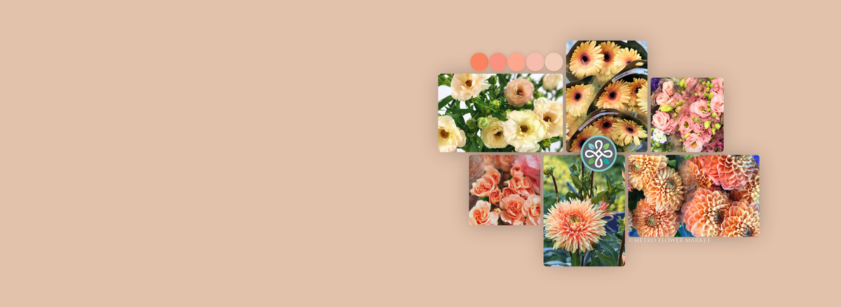 A collage of floral photography showing vibrant peach and apricot colored flowers, including dahlias, lisianthus, and ranunculus, arranged on a light grayish beige background with a small Metro Flower Market logo in the center