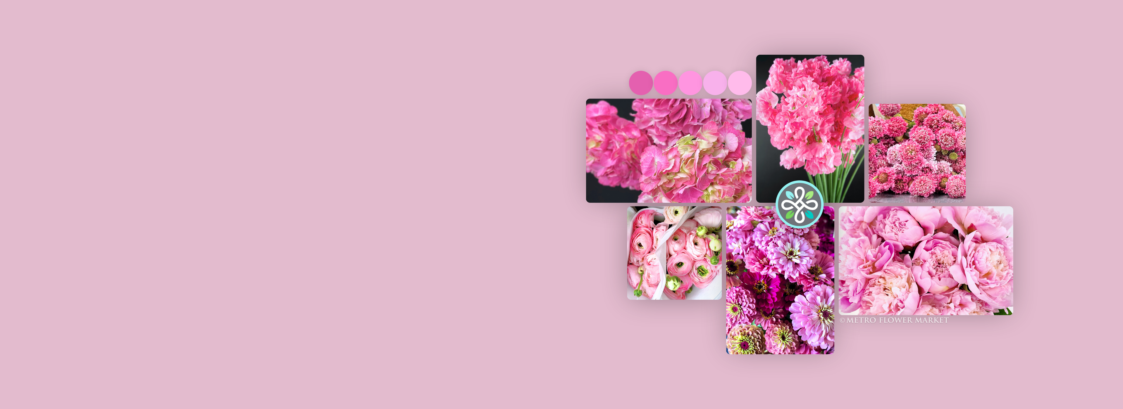 Collage of pink floral images on a pink background.