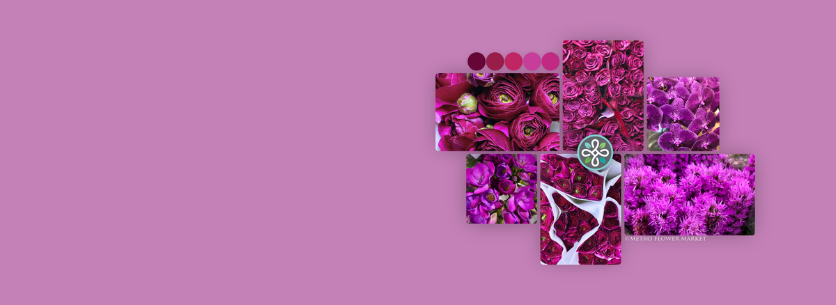 A collage featuring different types of flowers in shades of plum, purple, and deep wine. There is a color swatch key in similar tones, and a Metro Flower Market logo superimposed over it.
