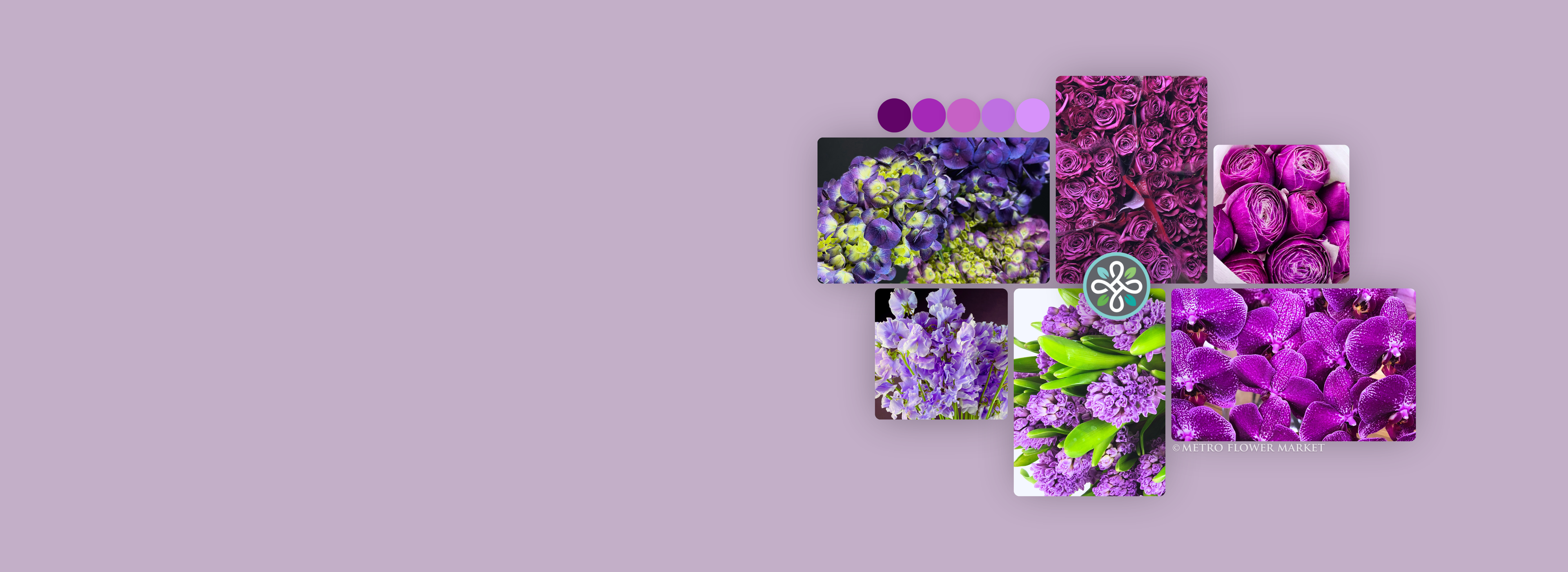 Collage of purple floral images on a purple background.