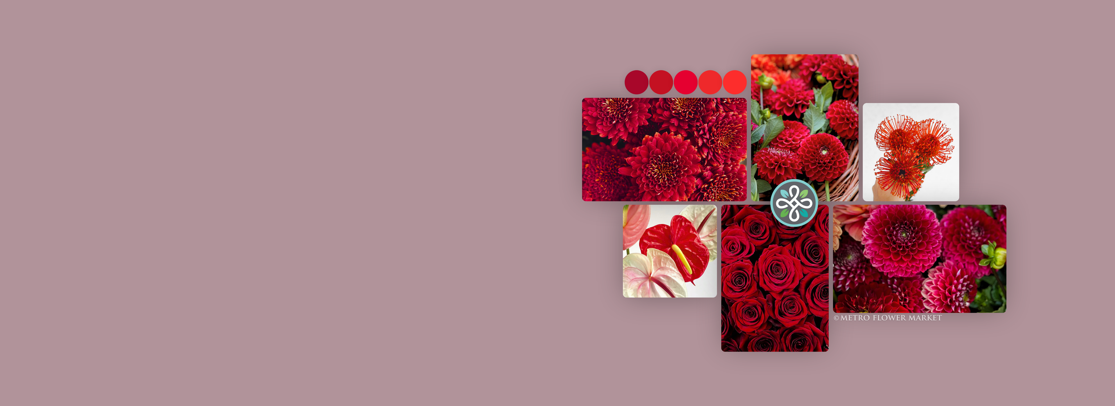 Image banner with a collage of closeup photos of red flowers against a mauve-brown background.