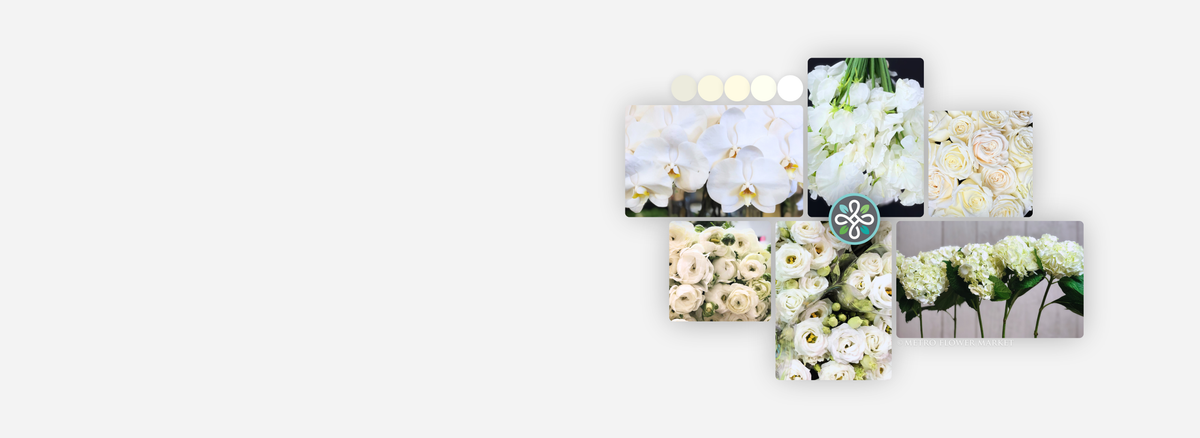 A collage of floral photography showing white and cream flowers, including orchids, roses, and hydrangeas, arranged on a light gray background with a small Metro Flower Market logo in the center.