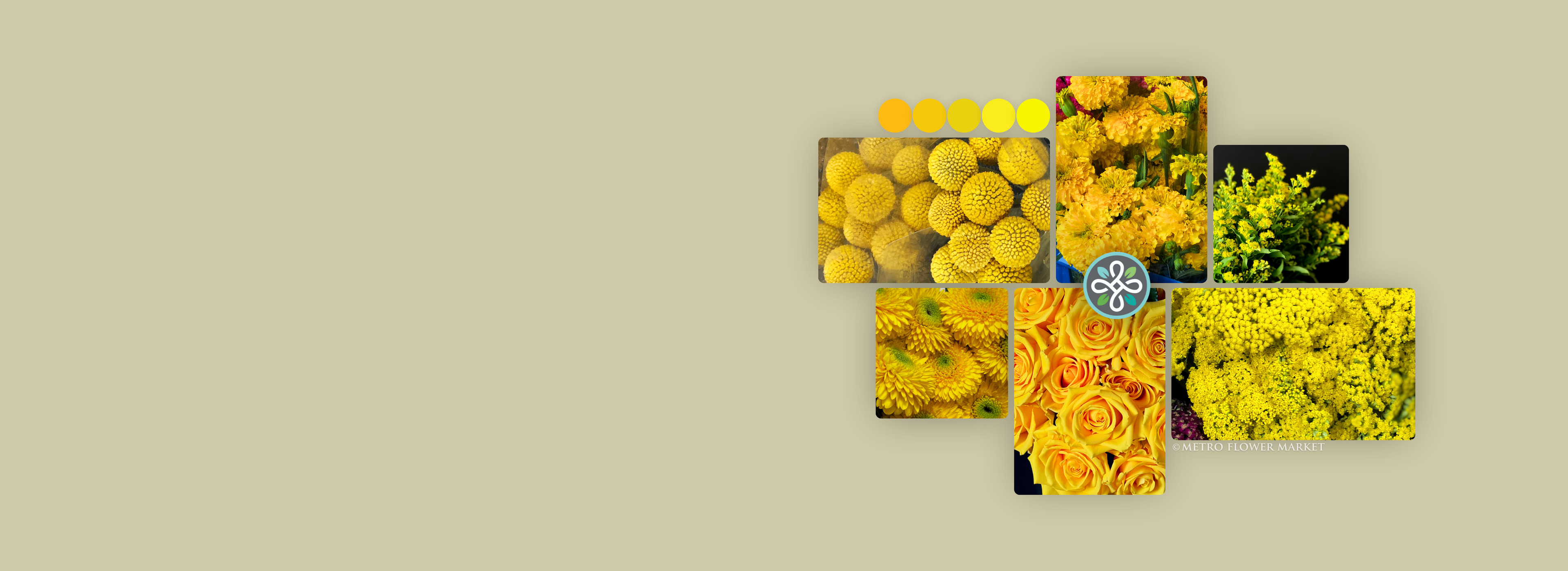Collage of yellow flowers in various arrangements on a beige background.