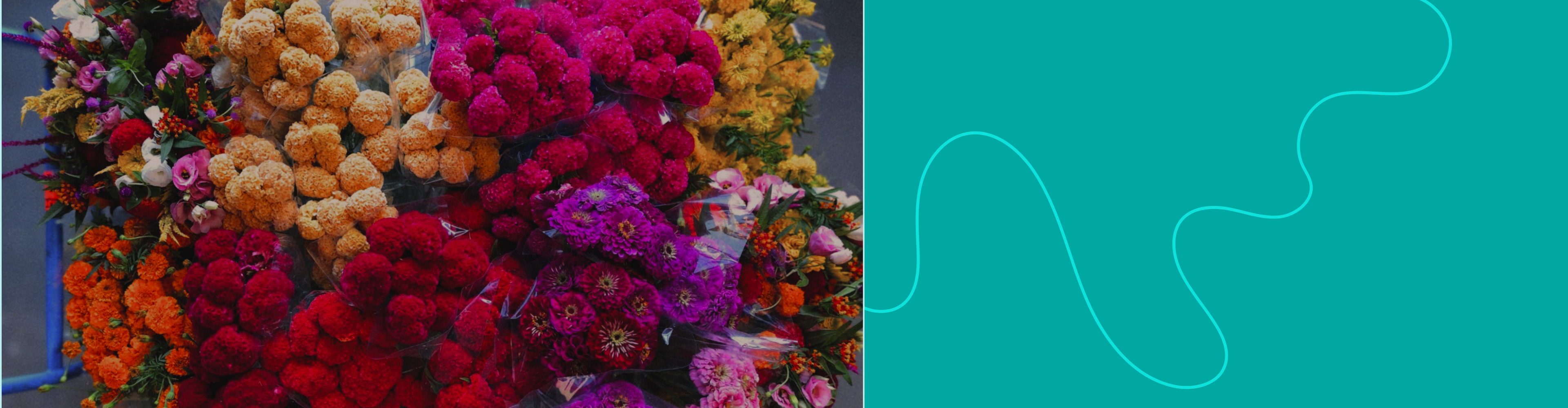 A slideshow banner image showing a cart full of colorful buckets of flowers with a teal background and decorative lines.