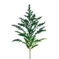 Solidago Tinted Green (10 Stems)