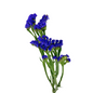 STATICE PURPLE (10 STEM BUNCH)