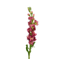 STOCK MAUVE (10 STEM BUNCH)