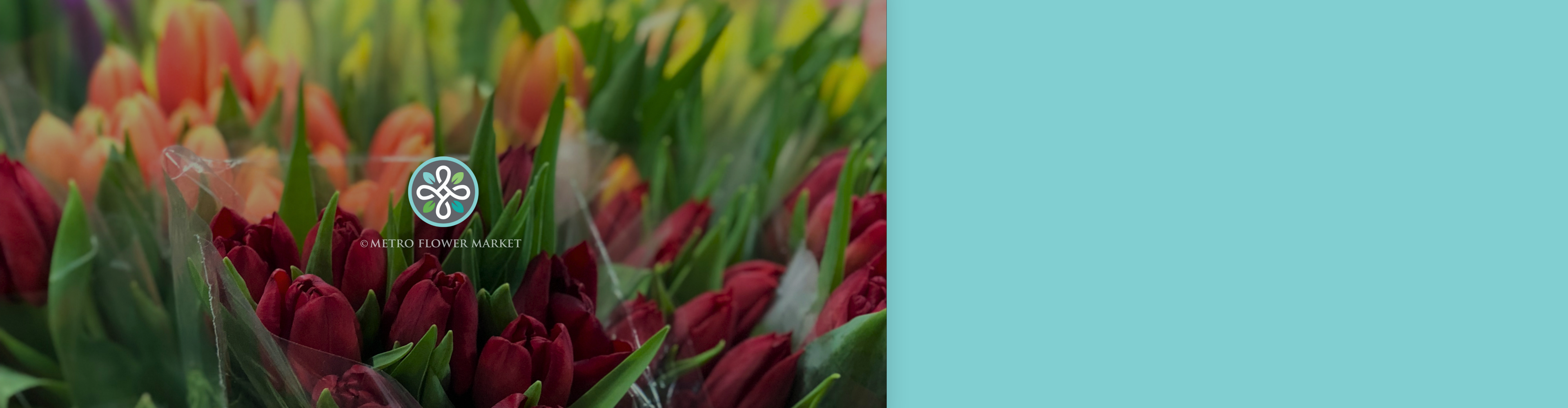 Bunched red, orange, and yellow tulips in buckets in a florist warehouse cooler setting.