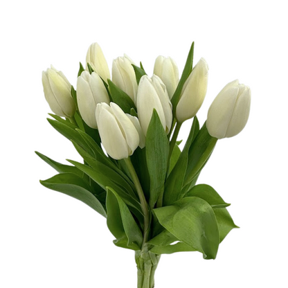 Tulip