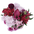 True Colors Bouquet – Bold Beauty in Full Bloom