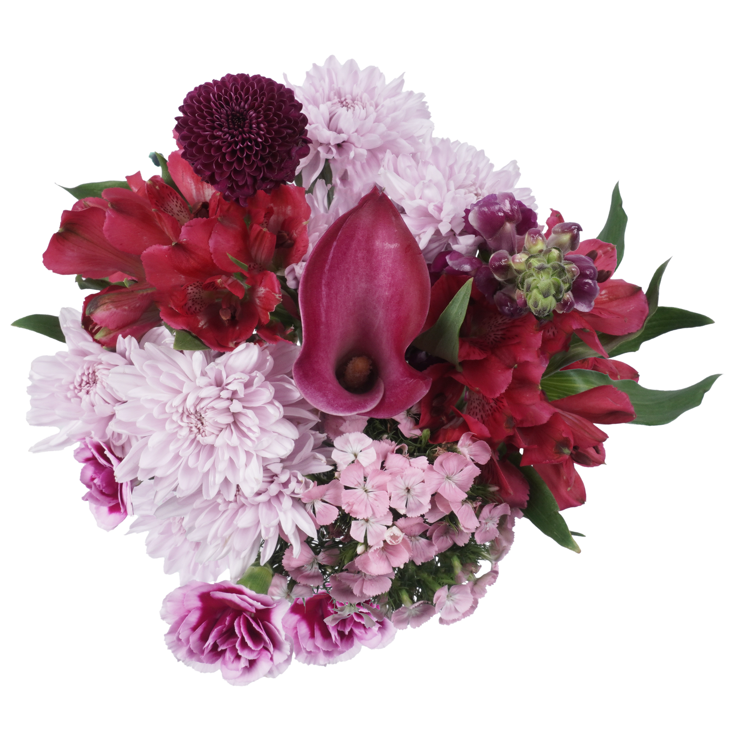 True Colors Bouquet – Bold Beauty in Full Bloom