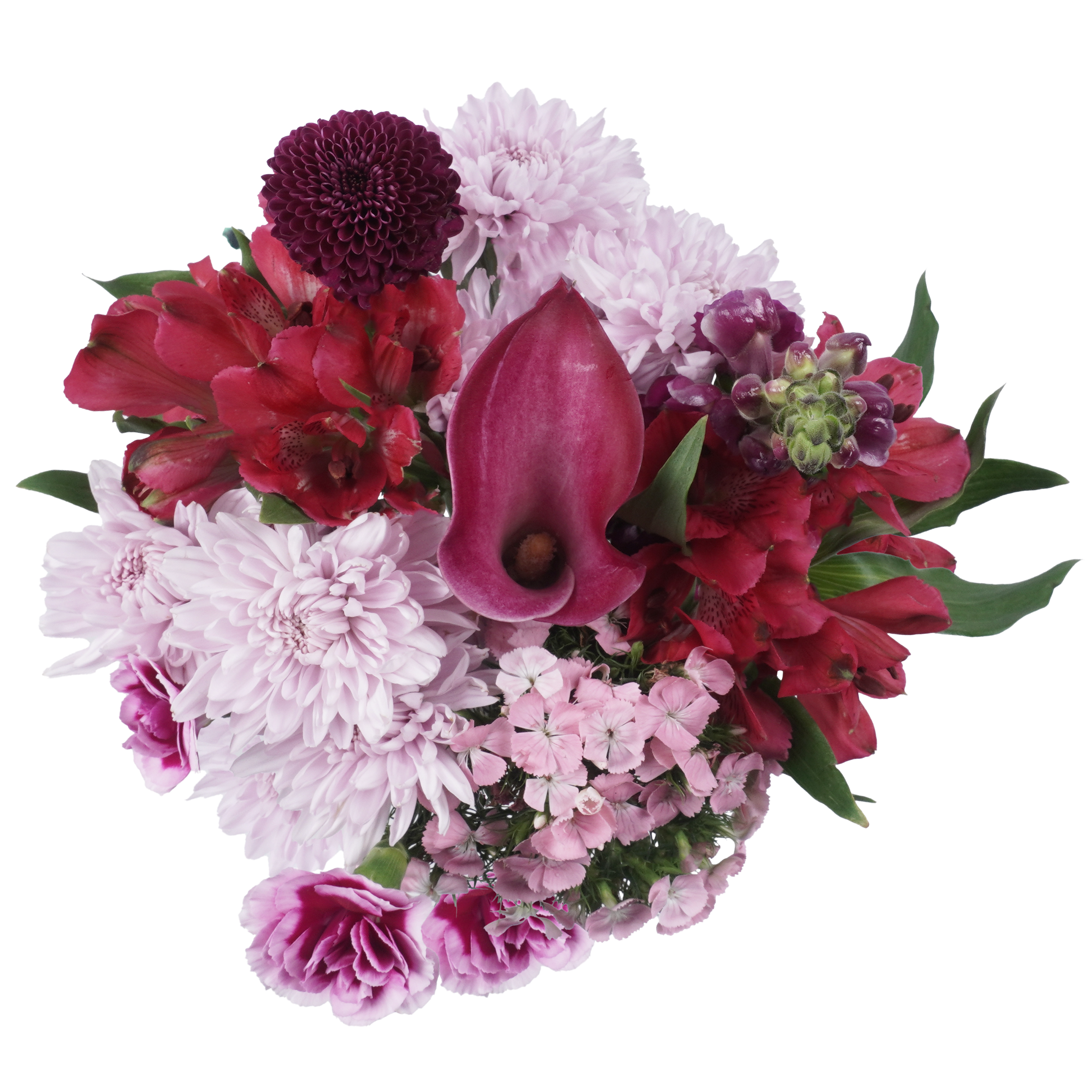 True Colors Bouquet – Bold Beauty in Full Bloom