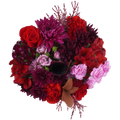 Velvet Night Bouquet – Sophisticated Romance and Mystery