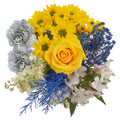Warm Blessing Bouquet – Joyful Sunshine and Tranquil Blues