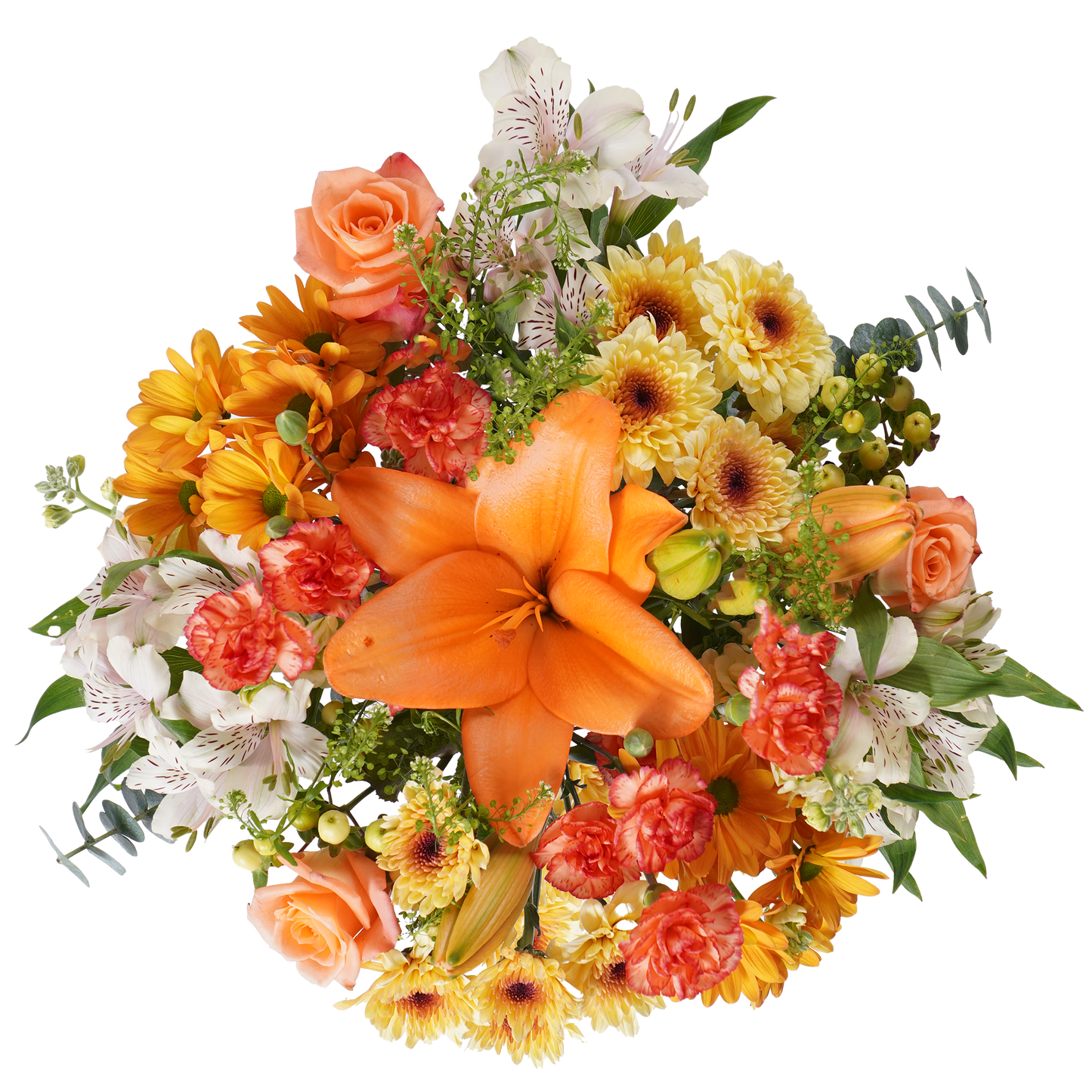 Apricot Blush – Soft Romance in Bloom