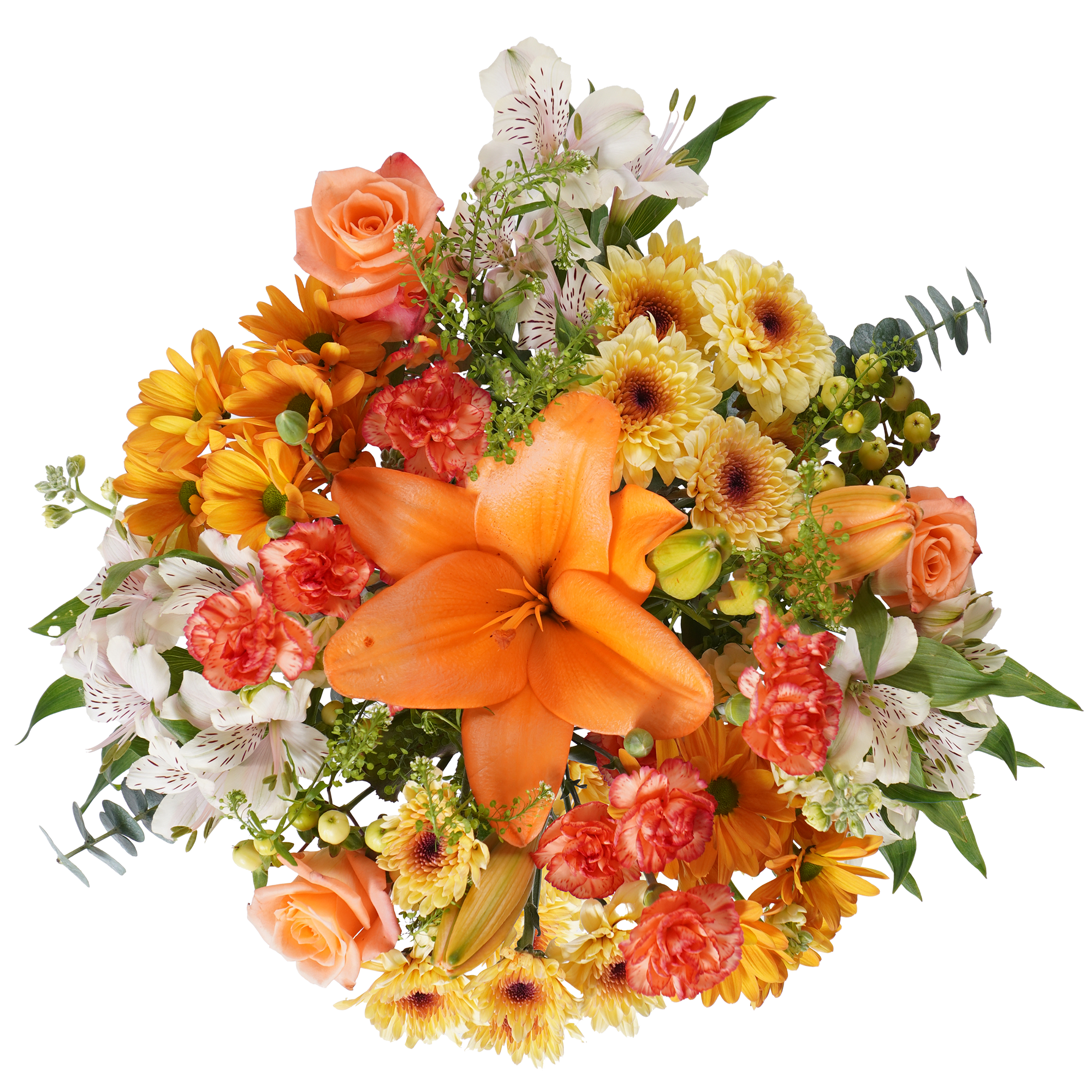 Apricot Blush – Soft Romance in Bloom