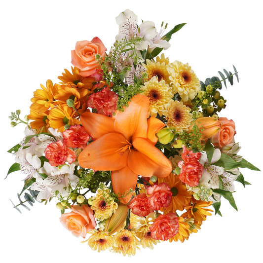 Apricot Blush – Soft Romance in Bloom