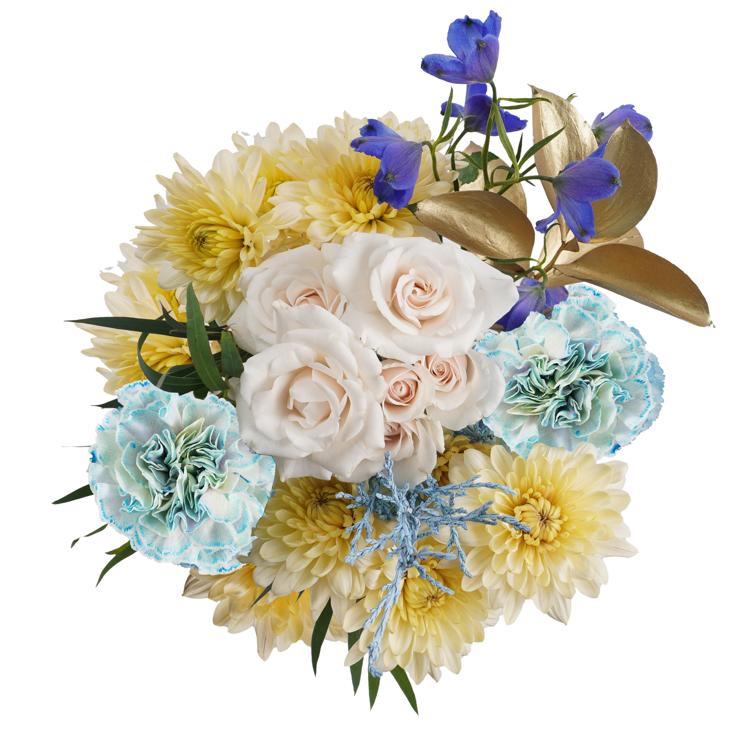 Blue and Gold Aurora – A Sky Full of Color