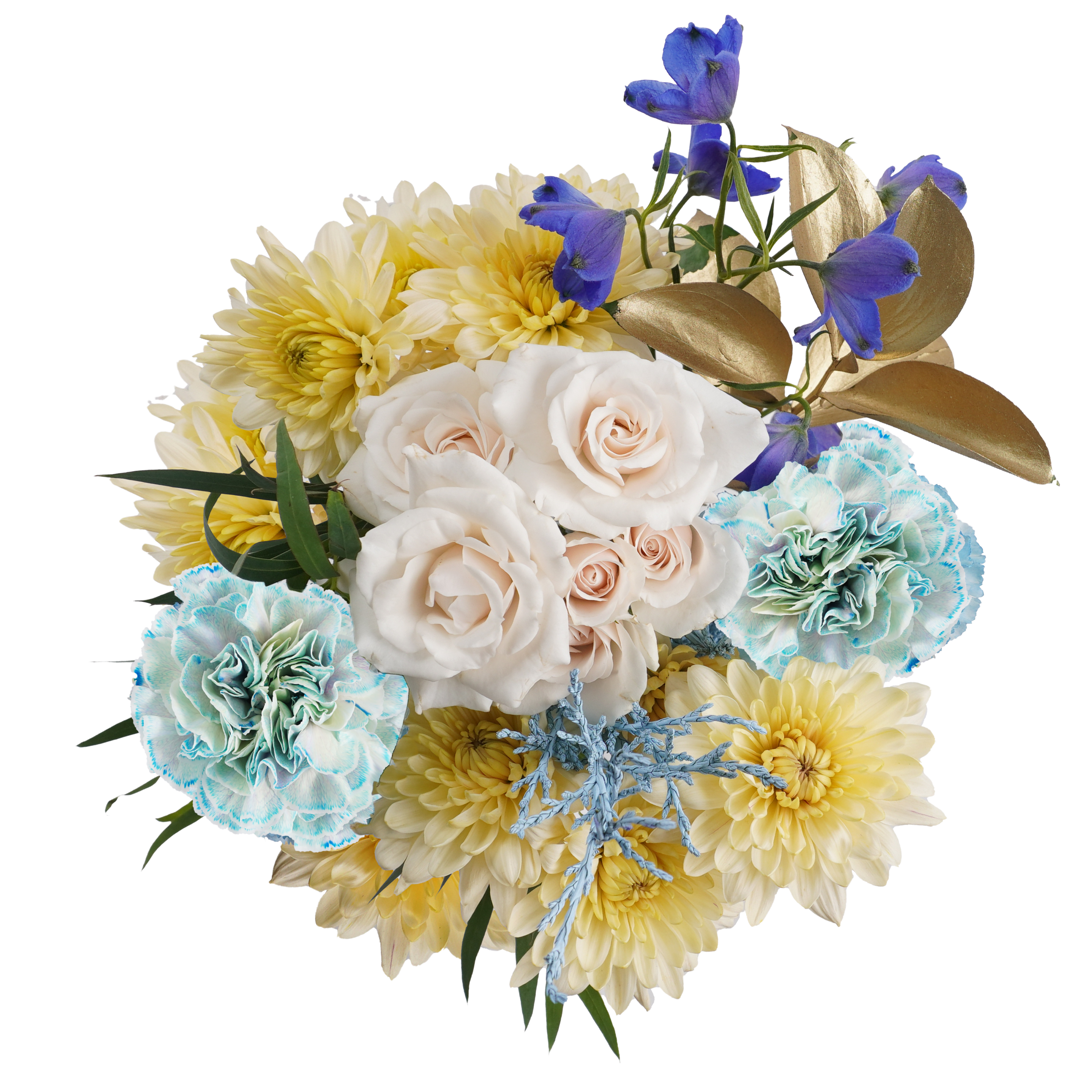 Blue and Gold Aurora – A Sky Full of Color