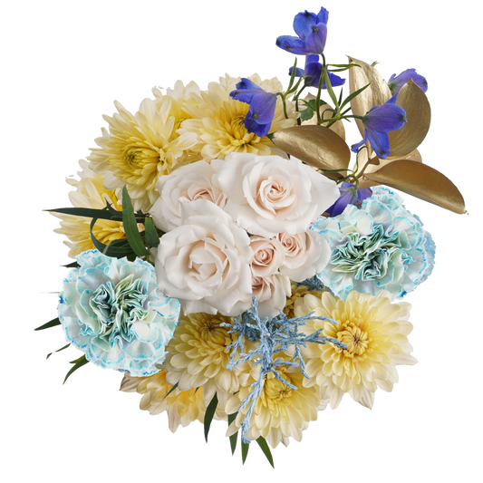 Blue and Gold Aurora – A Sky Full of Color