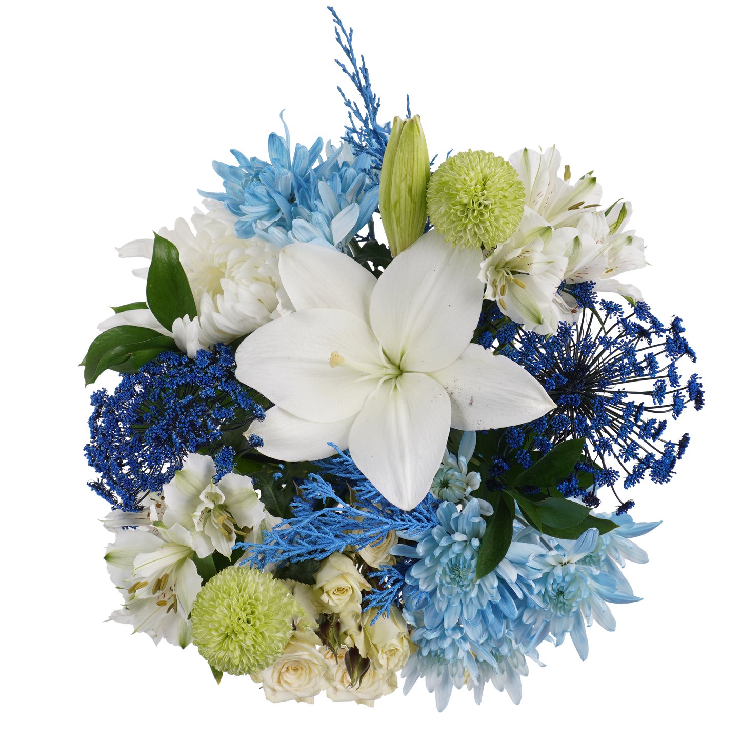 Blue Radiance – Fresh, Cool, and Captivating