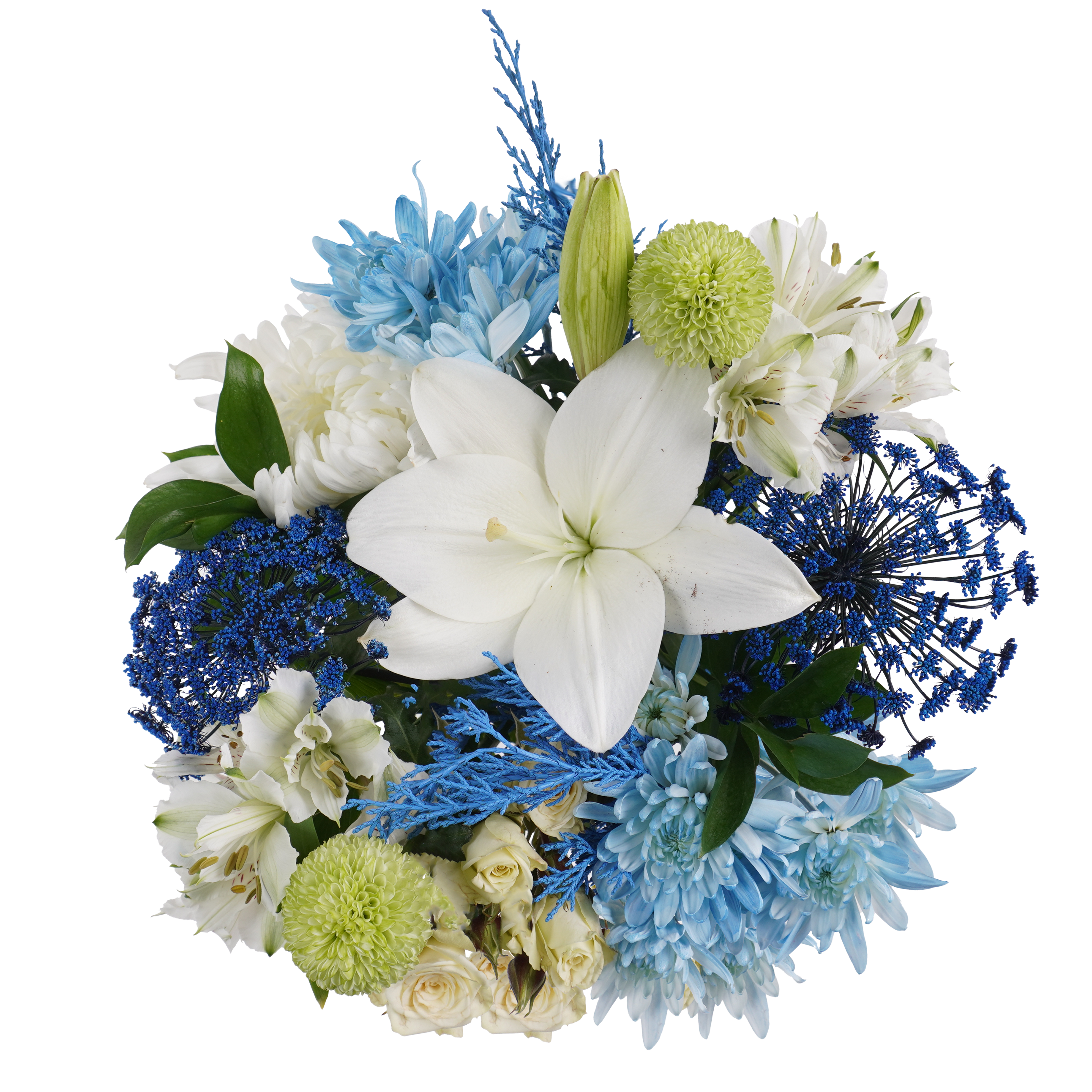 Blue Radiance – Fresh, Cool, and Captivating