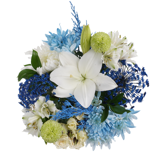 Blue Radiance – Fresh, Cool, and Captivating