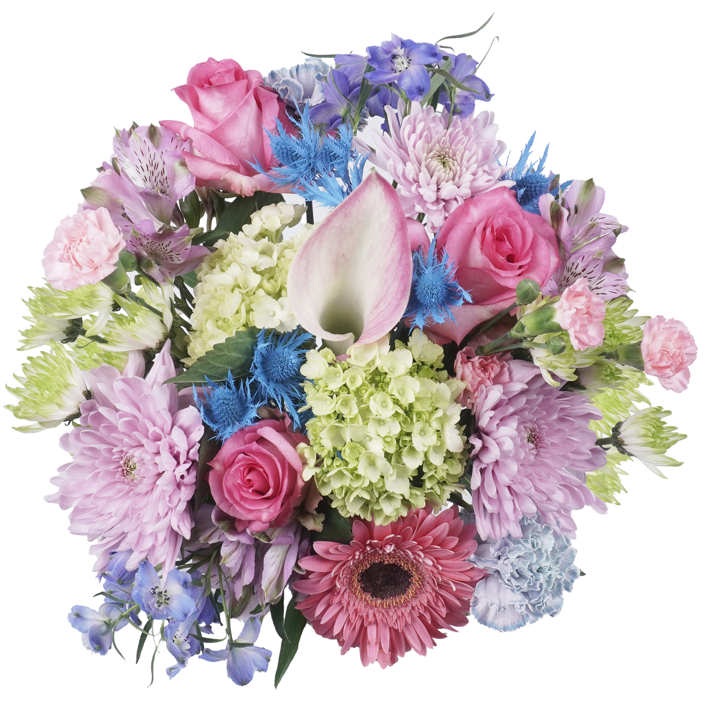 Blush Moments – Soft, Sweet, and Effortlessly Elegant