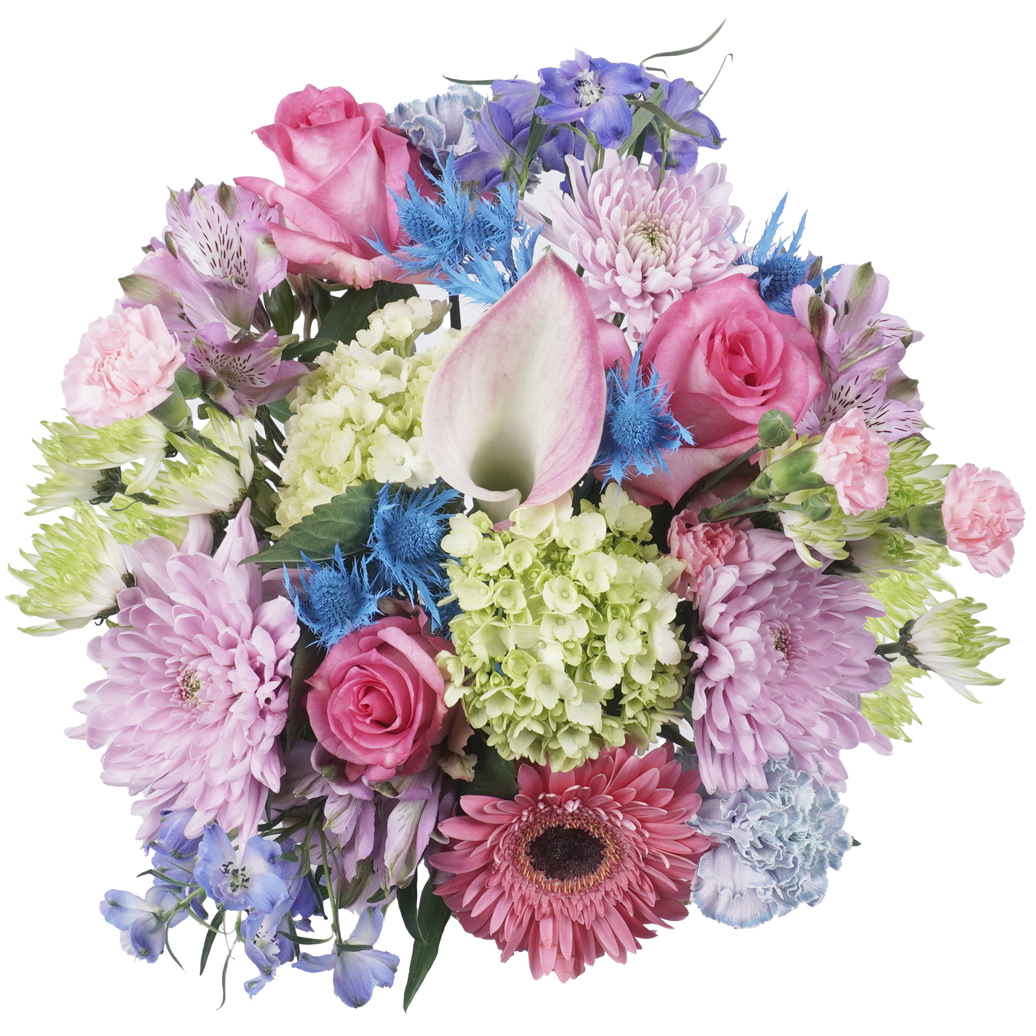 Blush Moments – Soft, Sweet, and Effortlessly Elegant