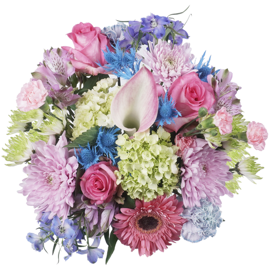 Blush Moments – Soft, Sweet, and Effortlessly Elegant