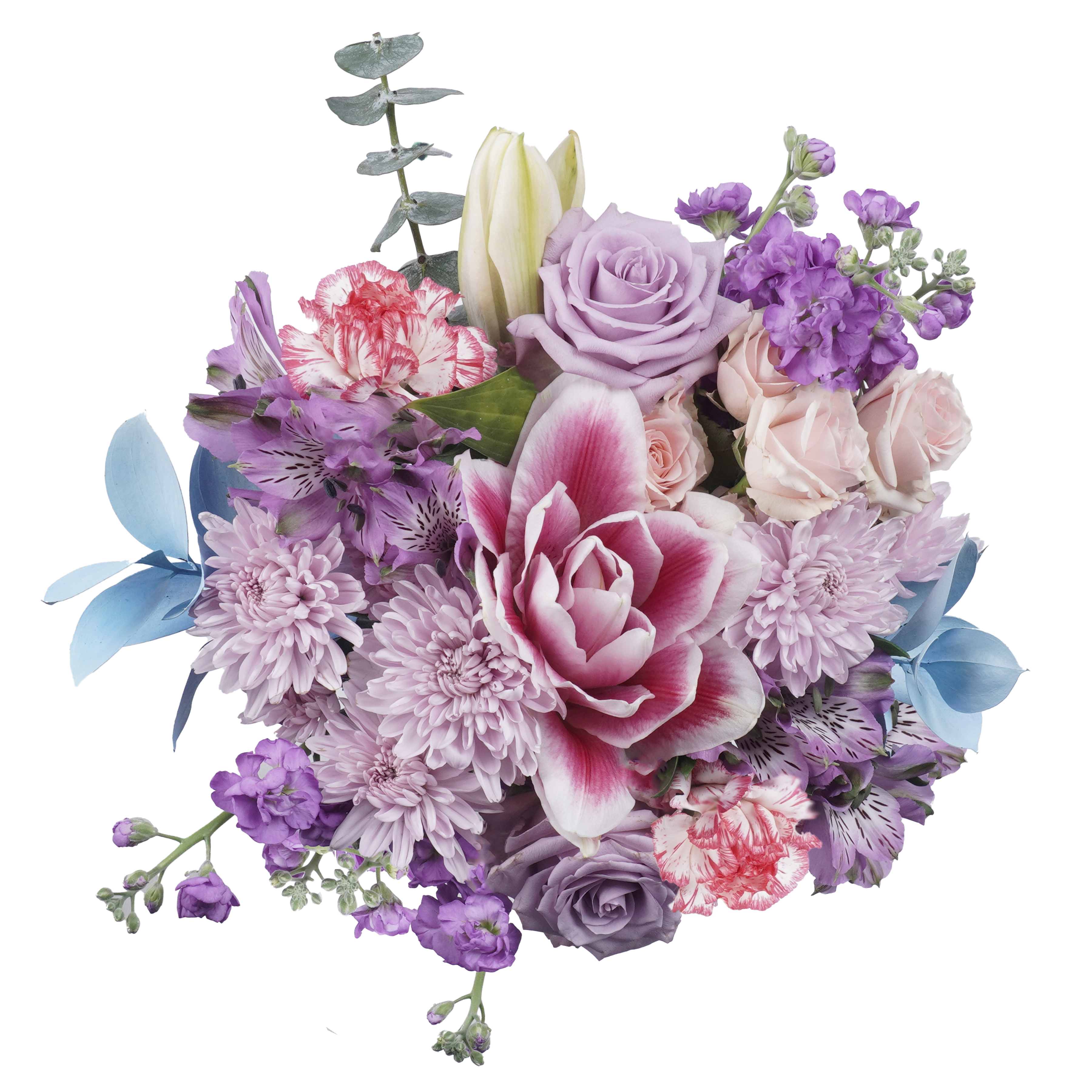 Candy Words – Sweet, Colorful, and Full of Joy