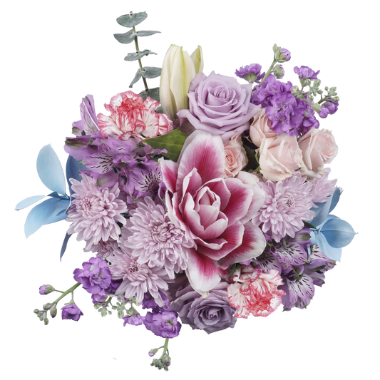 Candy Words – Sweet, Colorful, and Full of Joy