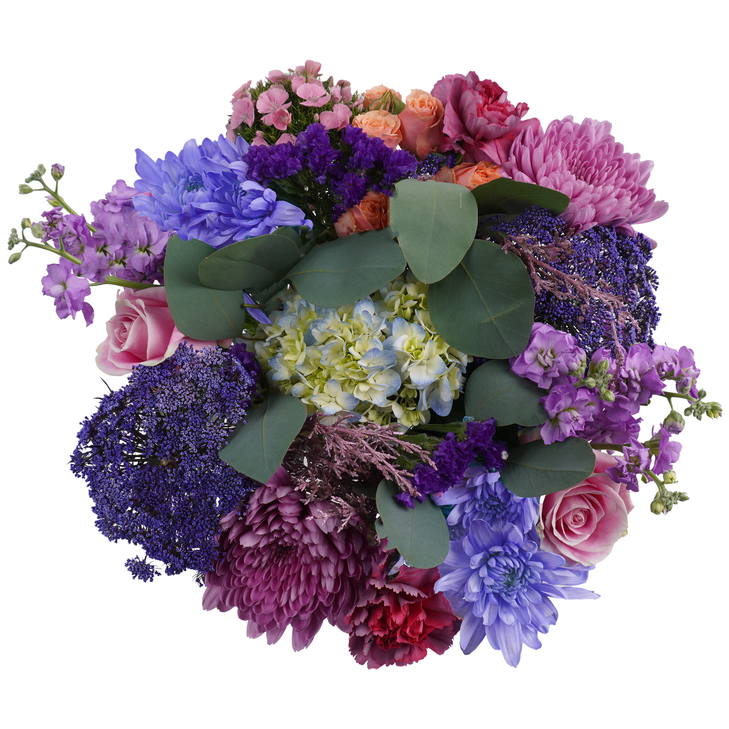 Enchanted Dawn – Soft Light and New Beginnings