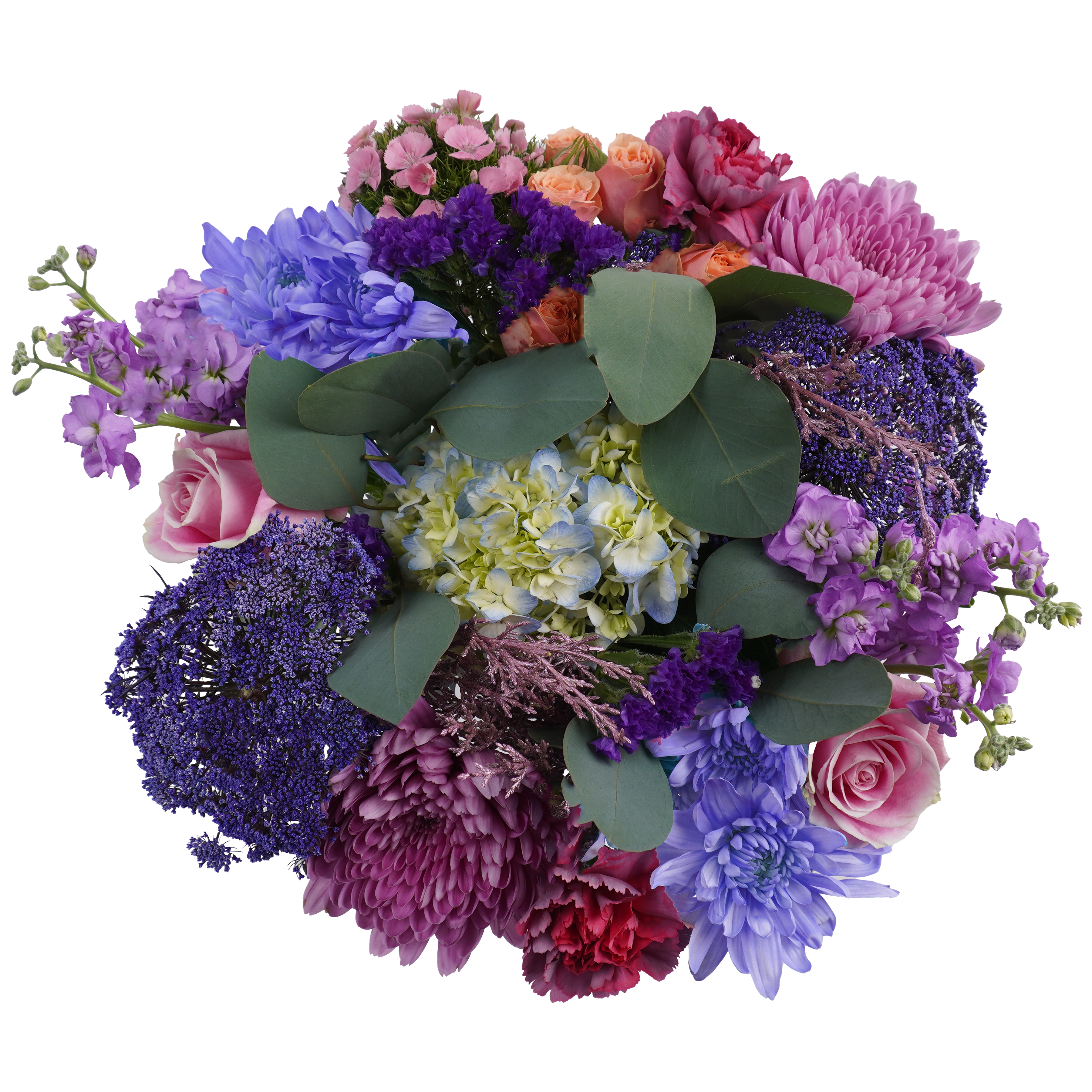 Enchanted Dawn – Soft Light and New Beginnings