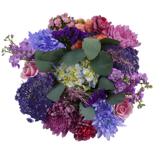 Enchanted Dawn – Soft Light and New Beginnings