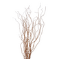 Curly Willow Tips-Medium (10 stem bunch)