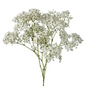 GYPSOPHILA MILLION STAR (7 STEM BUNCH)
