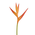Heliconia Fire Opal (Stem)