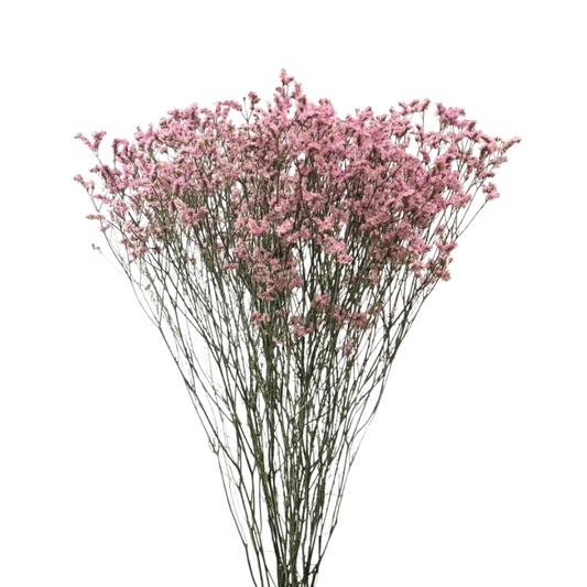 Limonium Pink (10 Stems)