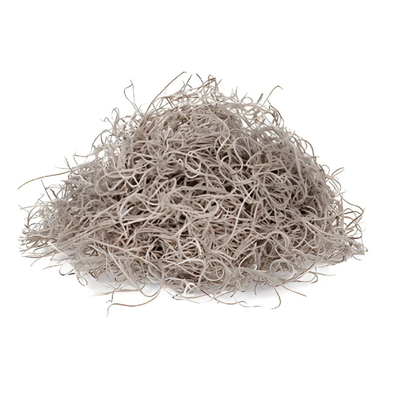 Spanish Moss (Box)