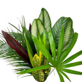 Tropical Foliage Assortment