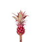 Ananas Mini Pineapples (20 UNITS)
